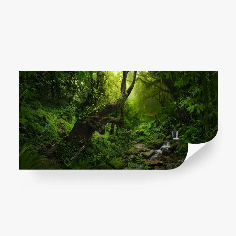Carta da parati foresta incantata di muschio e ruscello