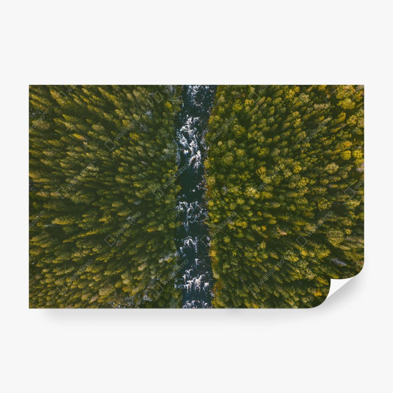 Carta da parati fiume tra la foresta visto dall'alto