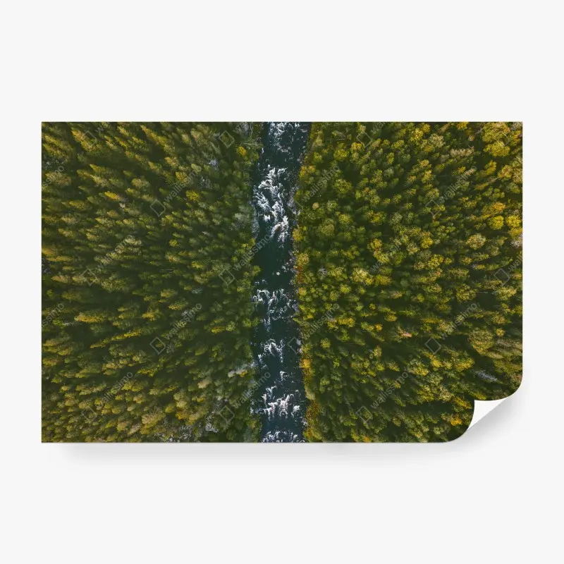 Carta da parati fiume tra la foresta visto dall'alto