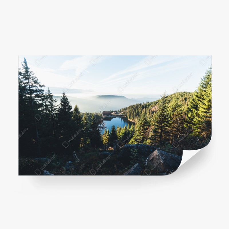 Carta da parati paesaggio di lago e foresta montana
