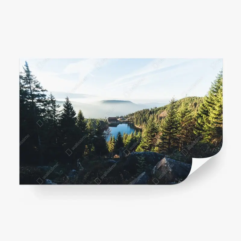 Carta da parati paesaggio di lago e foresta montana