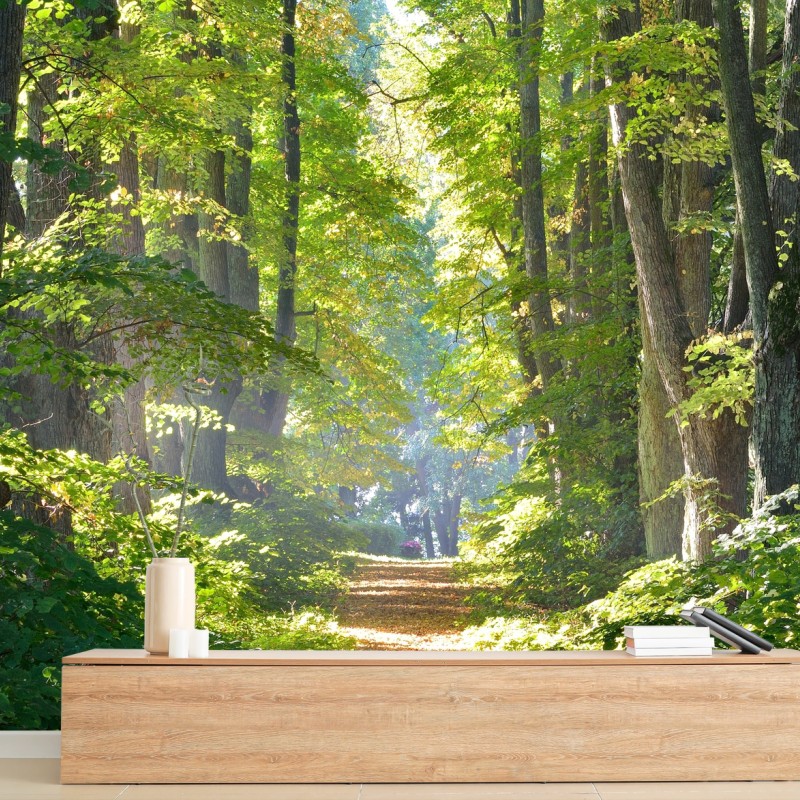 Carta da parati sentiero dorato nel bosco