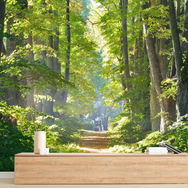 Carta da parati sentiero dorato nel bosco