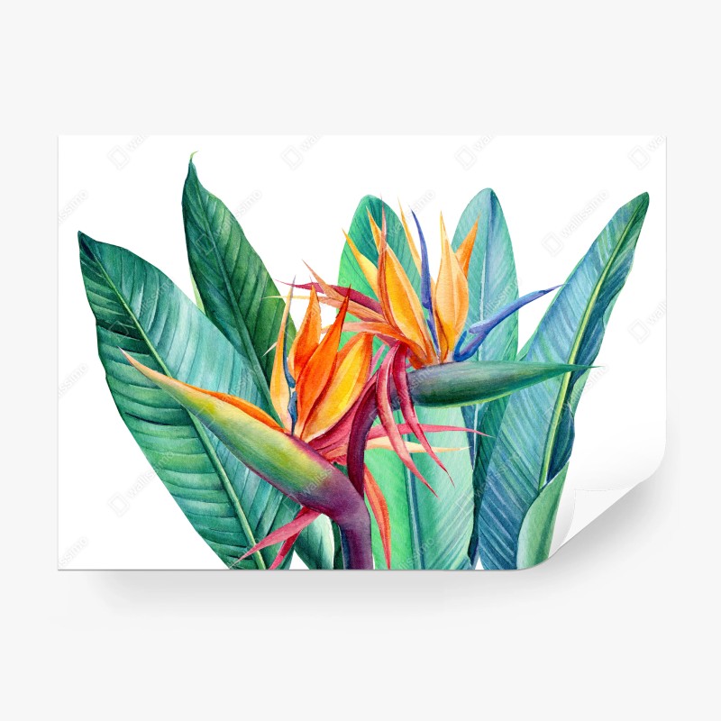 Carta da parati strelitzia ad acquerello con foglie tropicali