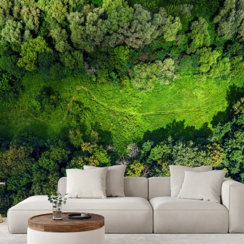 Carta da parati panorama aereo della foresta estiva e radura verde