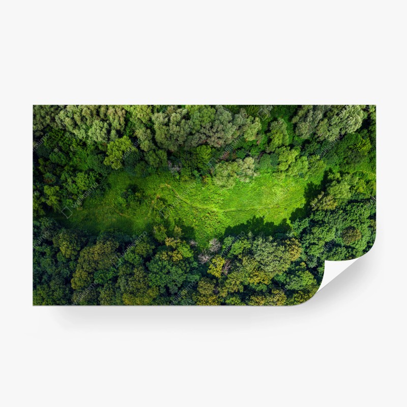 Carta da parati panorama aereo della foresta estiva e radura verde