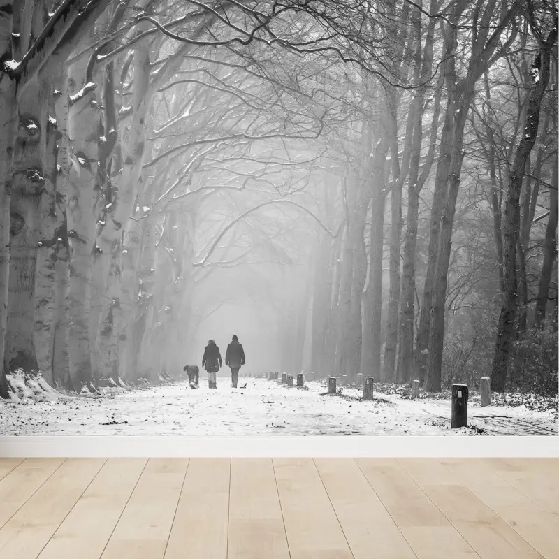 Carta da parati viale invernale nella nebbia