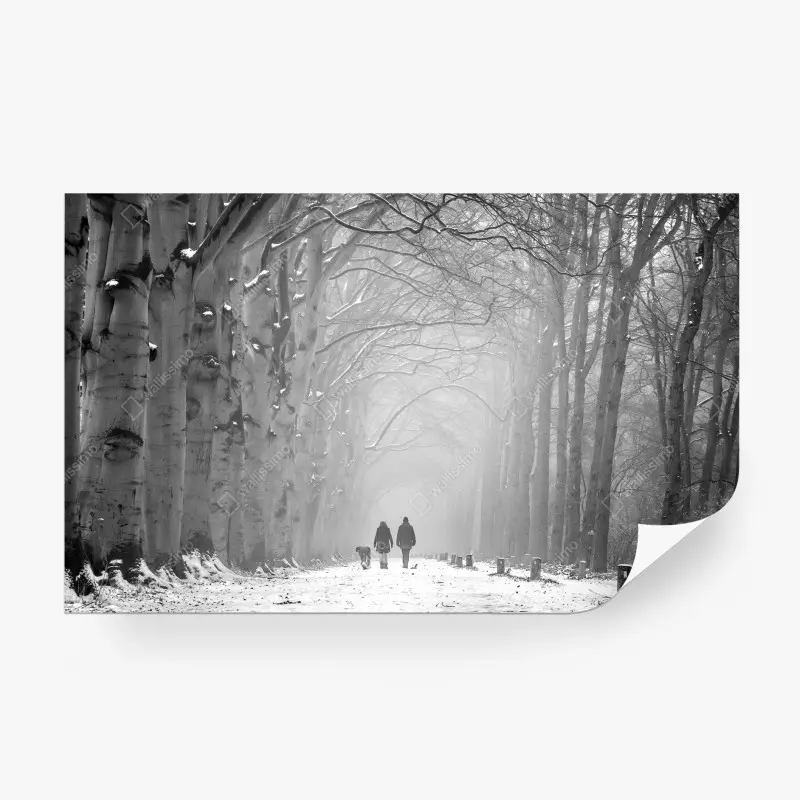 Carta da parati viale invernale nella nebbia