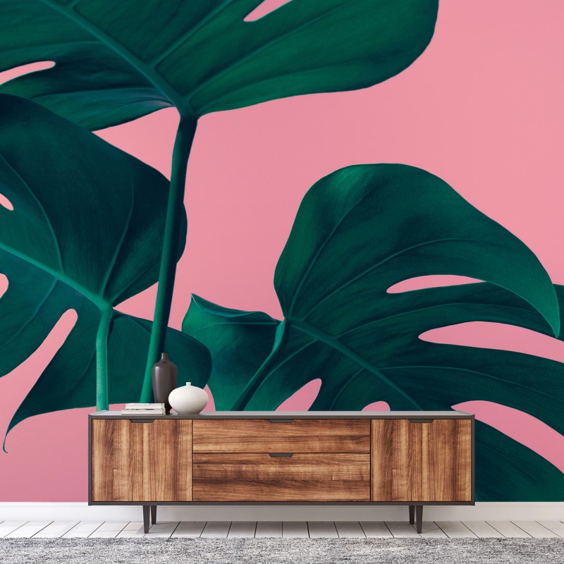 Carta da parati foglie di monstera su sfondo rosa