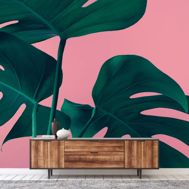 Carta da parati foglie di monstera su sfondo rosa
