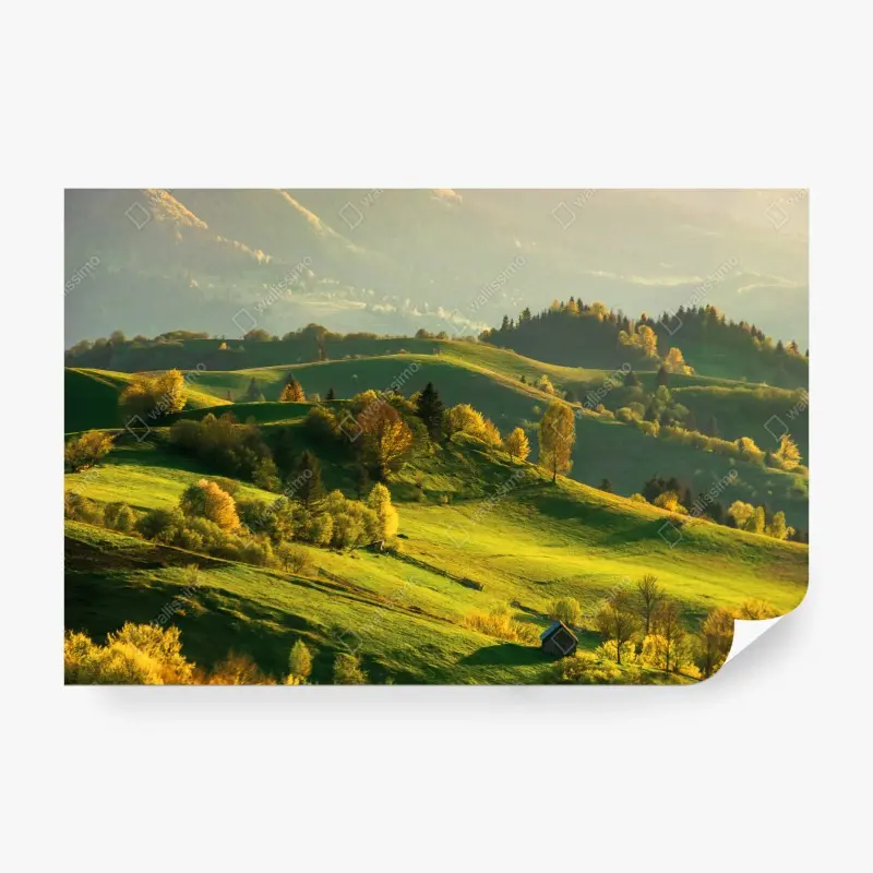 Carta da parati colline verdi al tramonto
