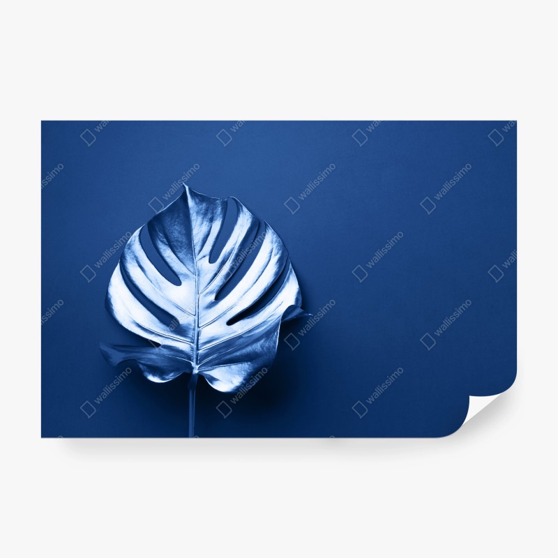 Carta da parati foglia monstera metallizzata su sfondo blu
