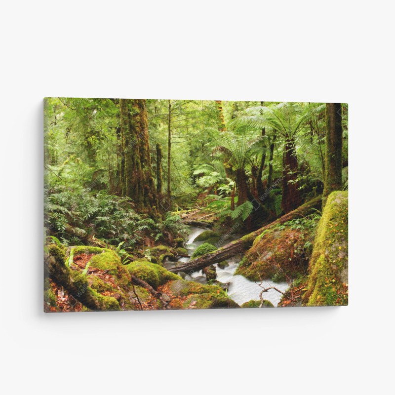 Quadro su tela foresta pluviale antica di Victoria