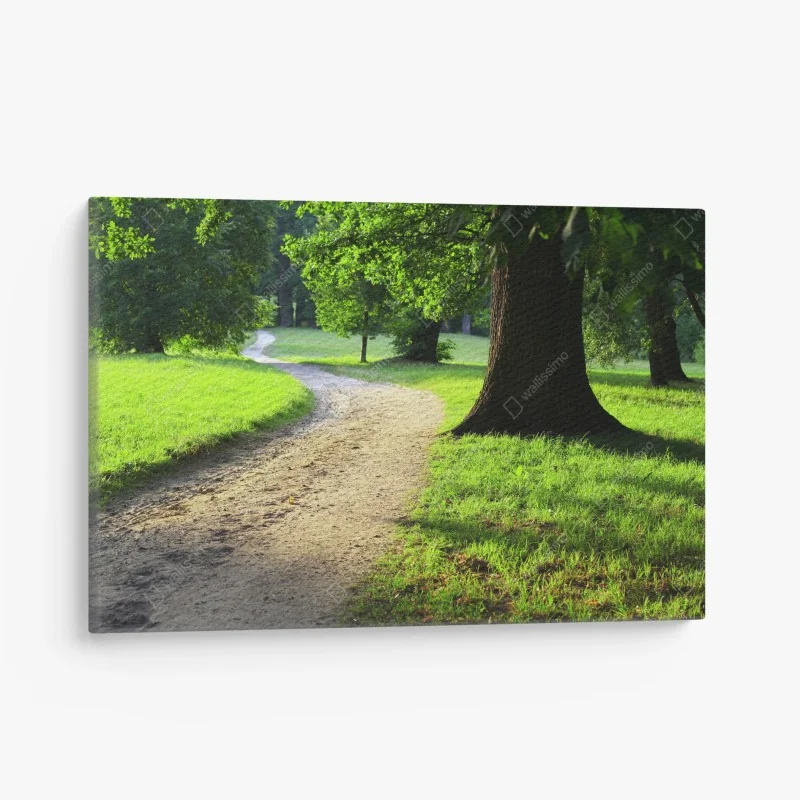 Quadro su tela sentiero nel parco al tardo pomeriggio estivo