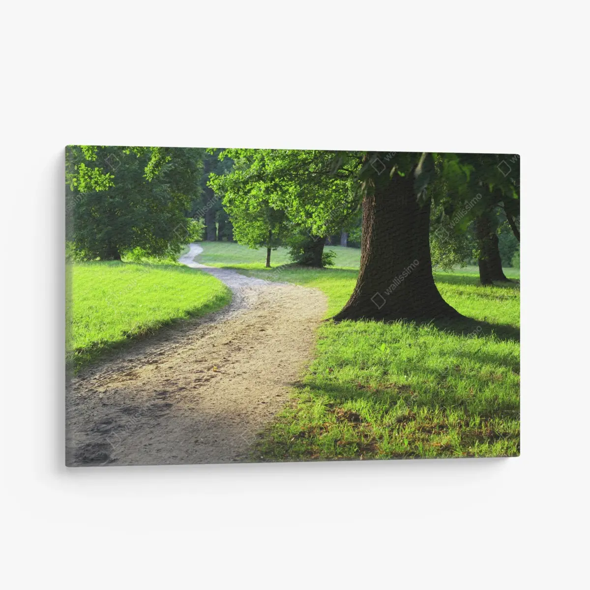 Quadro su tela sentiero nel parco al tardo pomeriggio estivo • Wallissimo®
