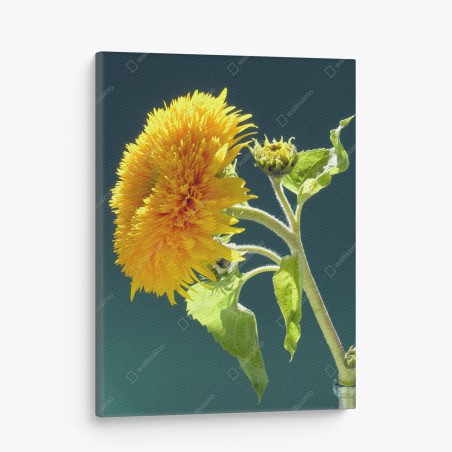 Quadro su tela girasole dorato su sfondo verde • Wallissimo®
