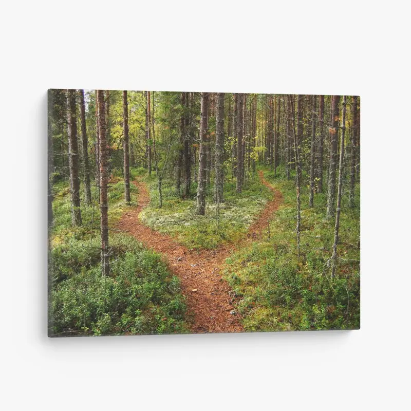 Quadro su tela bivio nel bosco autunnale