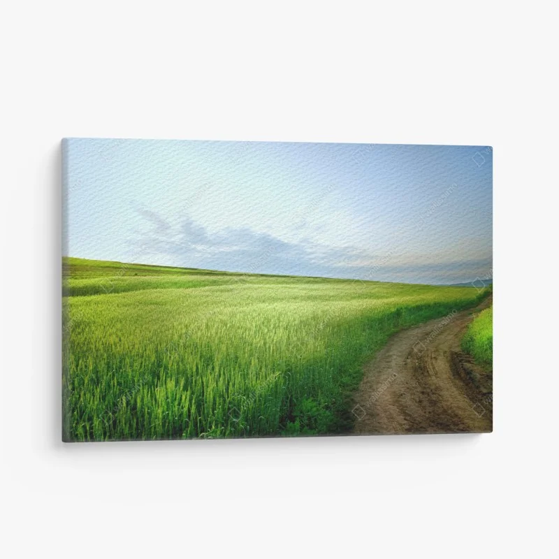 Quadro su tela sentiero tra i campi verdi