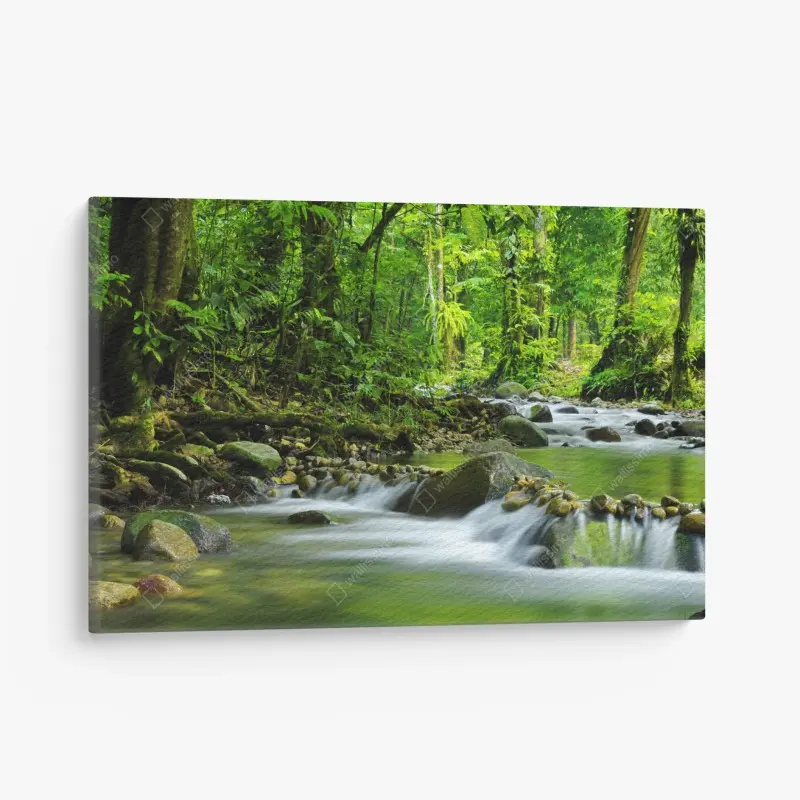 Quadro su tela torrente nella foresta verde