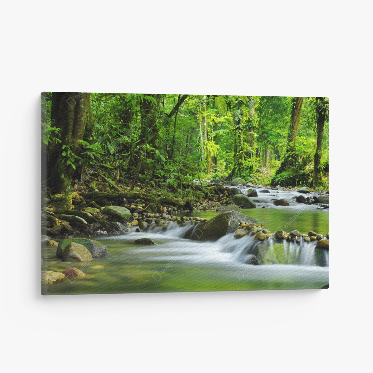 Quadro su tela torrente nella foresta verde • Wallissimo®