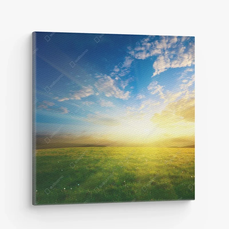 Quadro su tela alba dorata sul prato • Wallissimo®