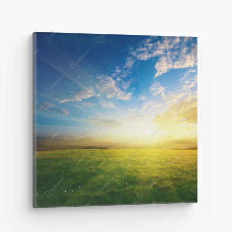 Quadro su tela alba dorata sul prato • Wallissimo®