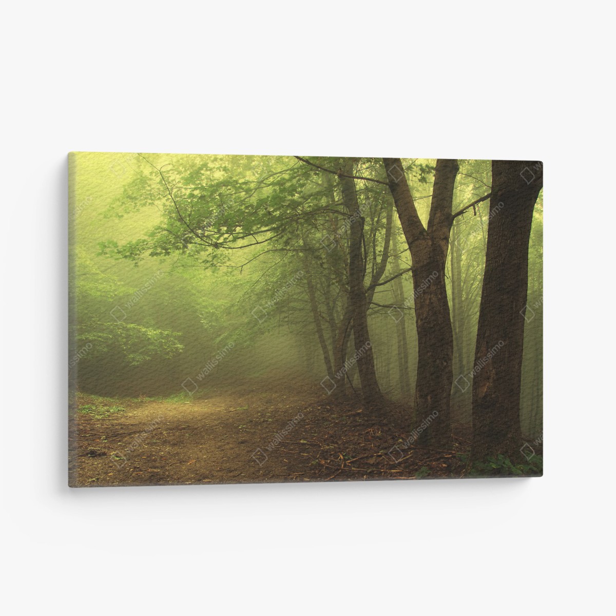 Quadro su tela sentiero nella foresta nebbiosa • Wallissimo®
