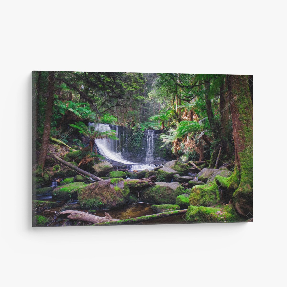 Quadro su tela cascata nascosta nella foresta • Wallissimo®