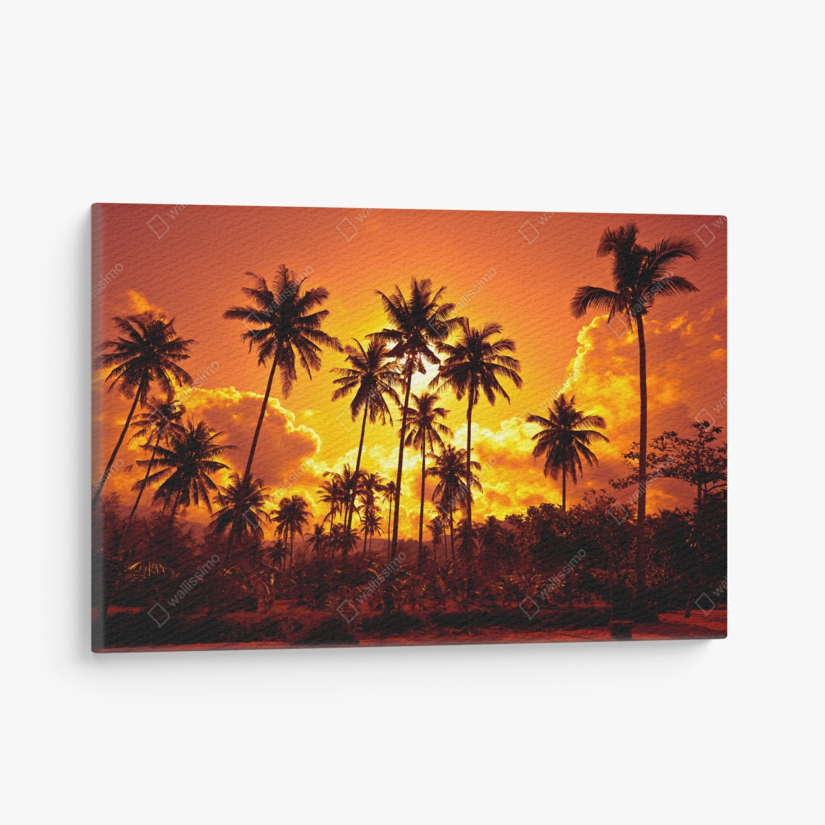Quadro su tela tramonto tropicale con palme in silhouette • Wallissimo®