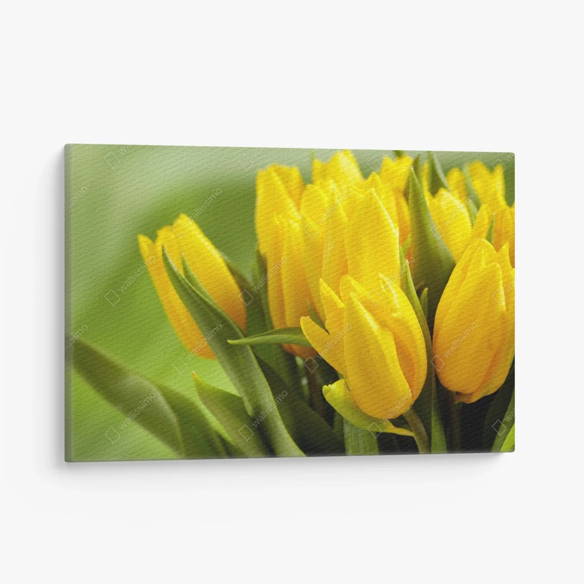 Quadro su tela tulipani gialli su sfondo verde • Wallissimo® Quadro su tela tulipani gialli su sfondo verde • Wallissimo®