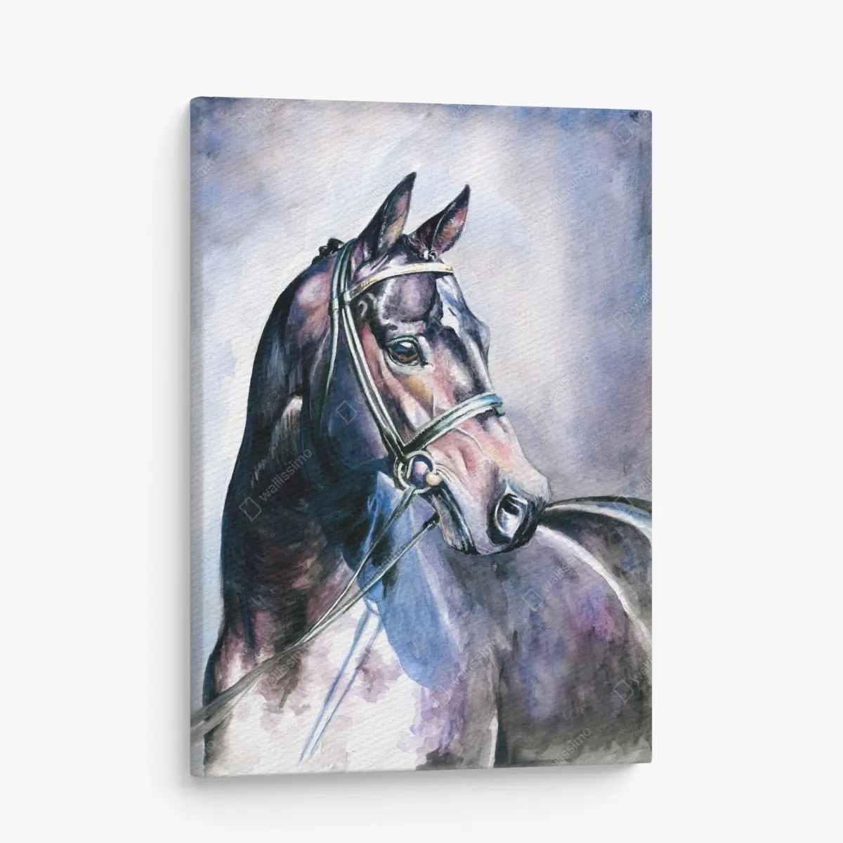 Quadro su tela ritratto elegante di cavallo in acquerello • Wallissimo® Quadro su tela ritratto elegante di cavallo in acquerello • Wallissimo®