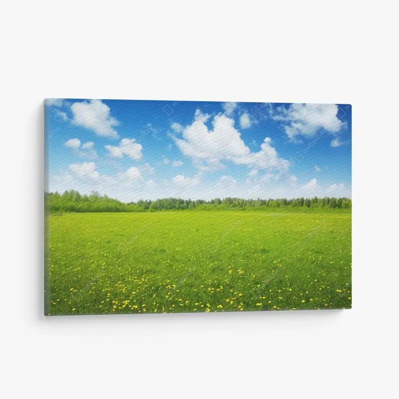 Quadro su tela campo primaverile sotto il cielo azzurro