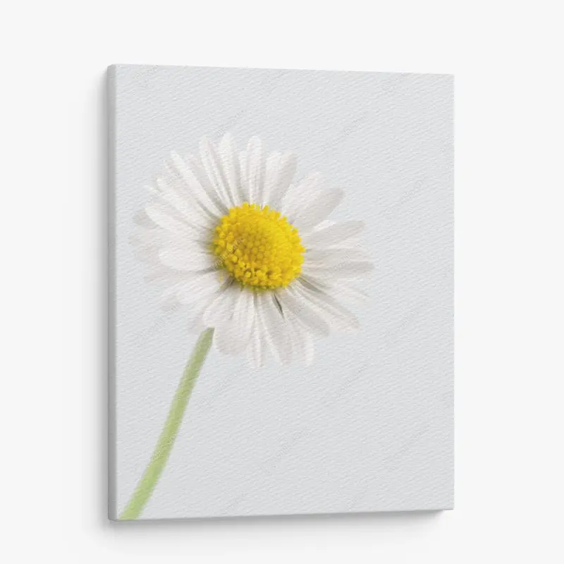 Quadro su tela margherita minimalista su sfondo chiaro