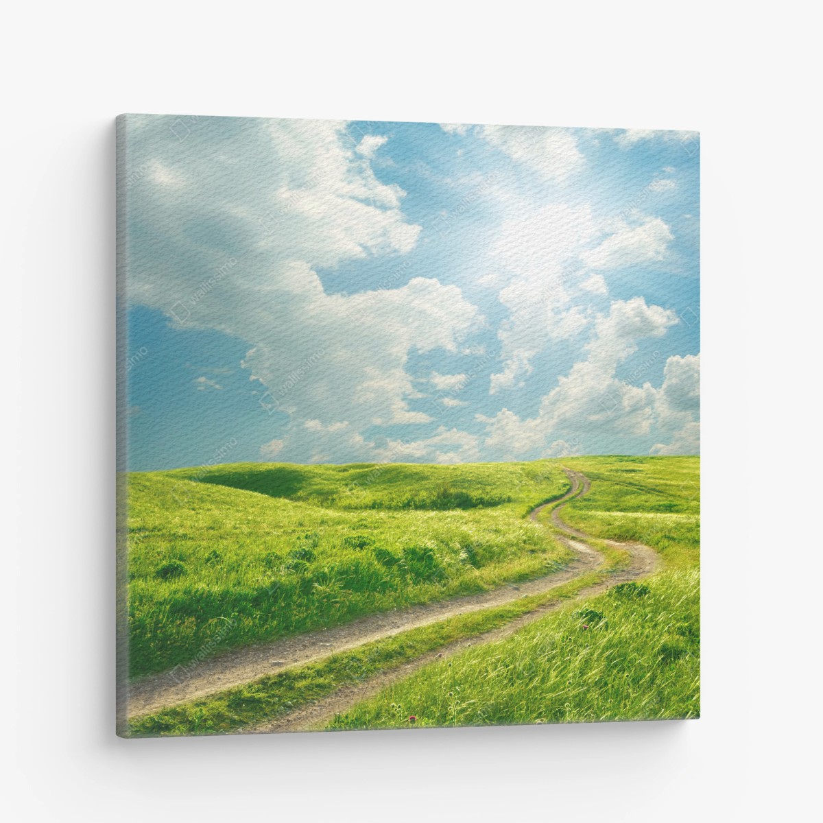 Quadro su tela sentiero estivo tra le colline verdi • Wallissimo®