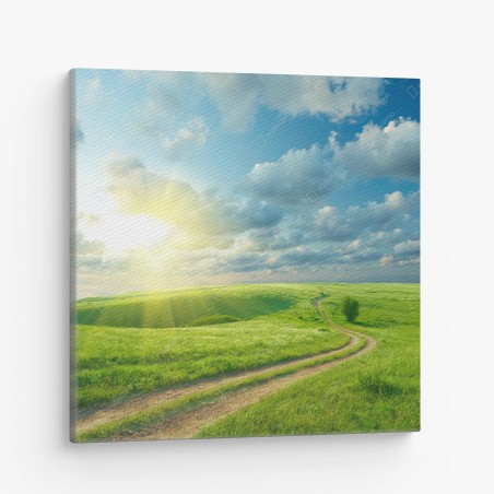 Quadro su tela sentiero nelle colline verdi • Wallissimo®