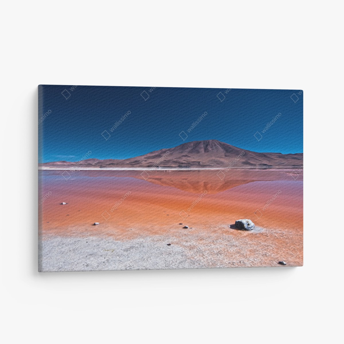 Quadro su tela riflessi della laguna rosa • Wallissimo®