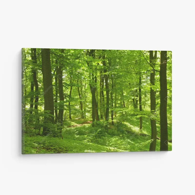 Quadro su tela bosco verde luminoso