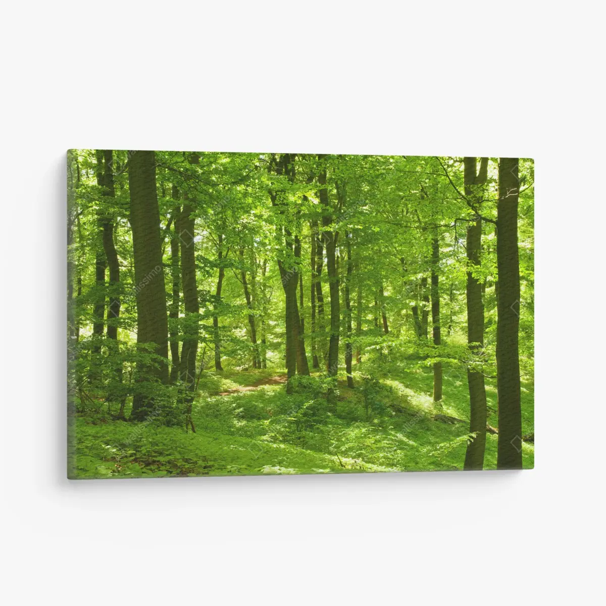 Quadro su tela bosco verde luminoso • Wallissimo®