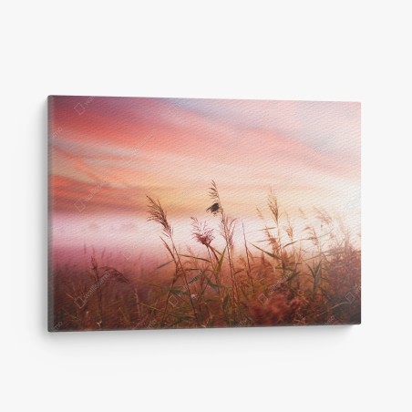 Quadro su tela tramonto rosa tra le canne • Wallissimo®