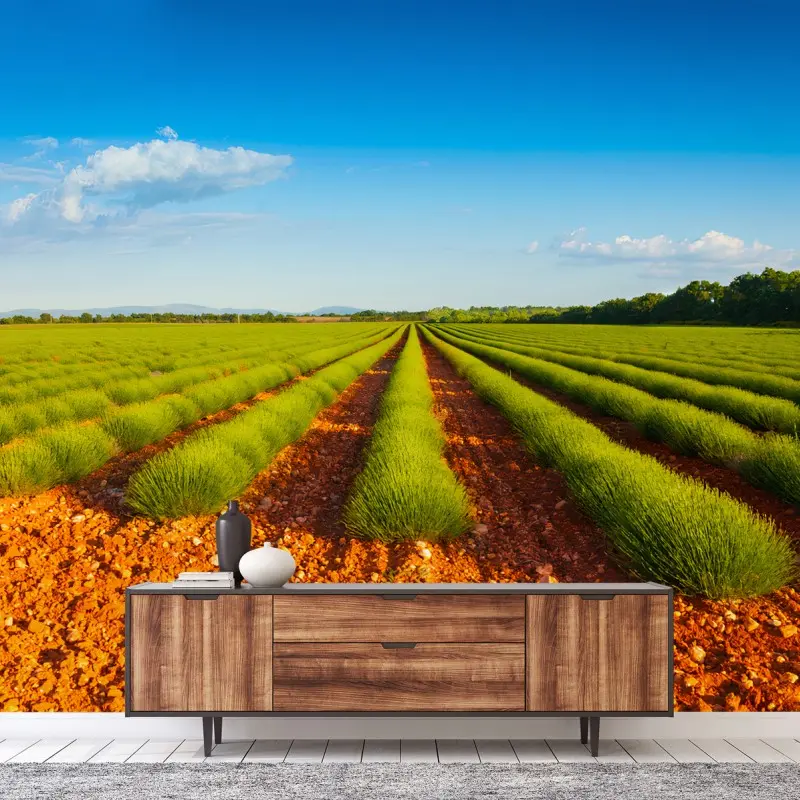 Carta da parati LAVANDA CAMPO NATURA PAESAGGIO SOLE PER SOGGIORNO