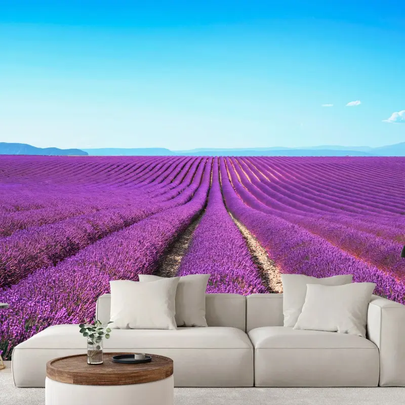 Carta da parati LAVANDA VIOLA CAMPO PAESAGGIO CALMO PER SOGGIORNO