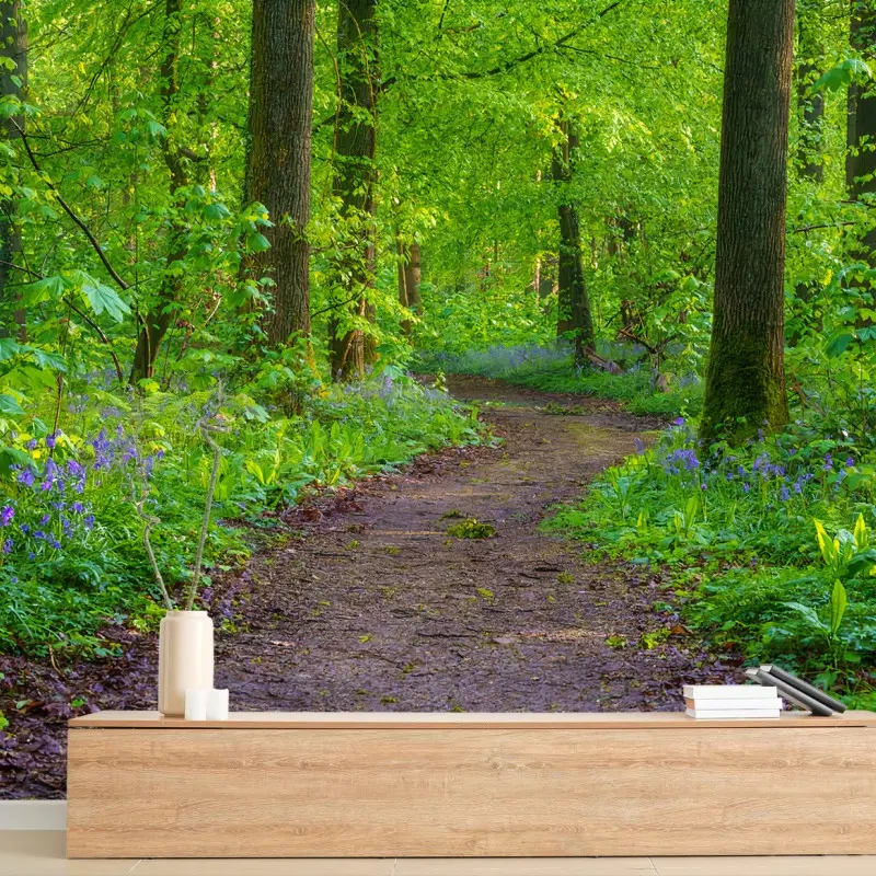 Carta da parati FORESTA SENTIERO ALBERI VERDE CAMPANULE PER SOGGIORNO