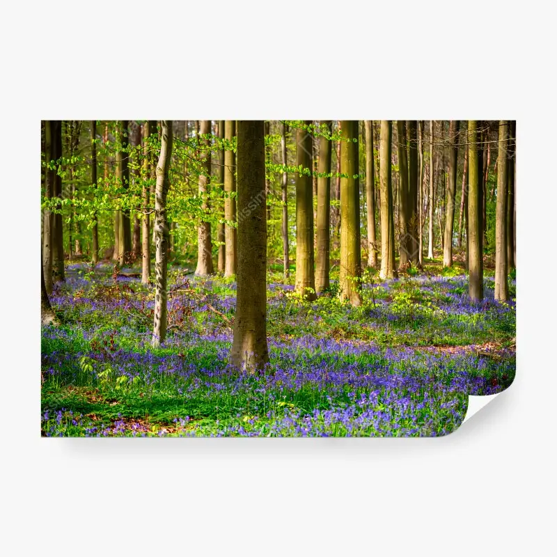 Carta da parati BOSCO CAMPANELLE PRIMAVERA NATURA FIORI PER SALOTTO