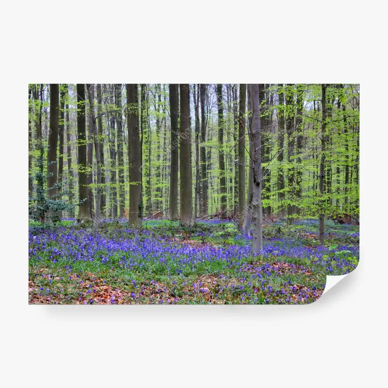 Carta da parati FORESTA BLU PRIMAVERA ALBERI NATURA PER SOGGIORNO