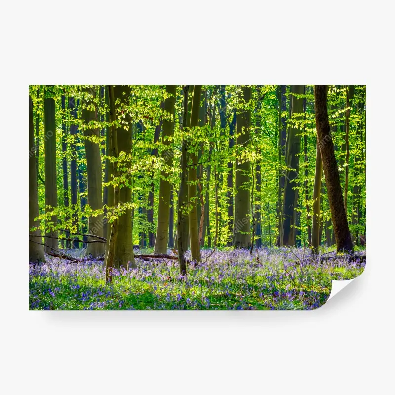 Carta da parati BOSCO VERDE ALBERI CAMPANE PRIMAVERA PER SOGGIORNO
