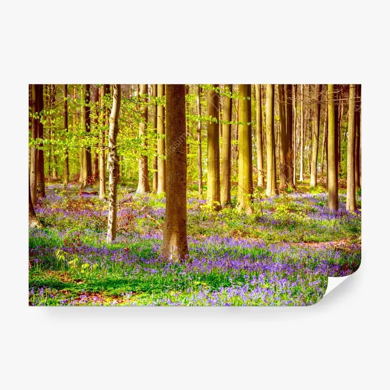 Carta da parati CAMPANE BOSCO PRIMAVERA VERDE ALBERI PER SOGGIORNO