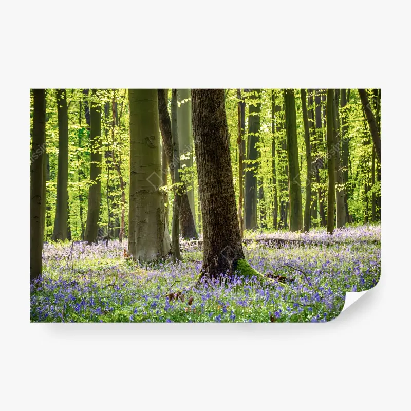 Carta da parati BOSCO CAMPANULE PRIMAVERA NATURA VERDE PER SALOTTO