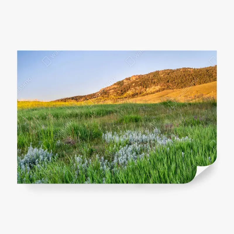 Carta da parati MONTI PRATO ERBA TRAMONTO COLORADO PER SOGGIORNO