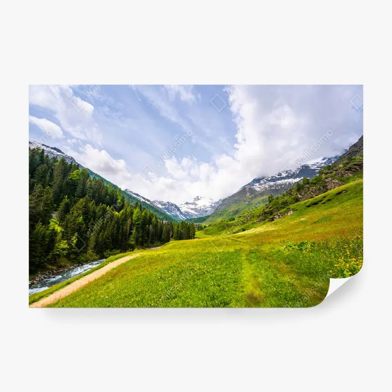 Carta da parati MONTAGNE VALLE ALPI VERDE PAESAGGIO PER SOGGIORNO