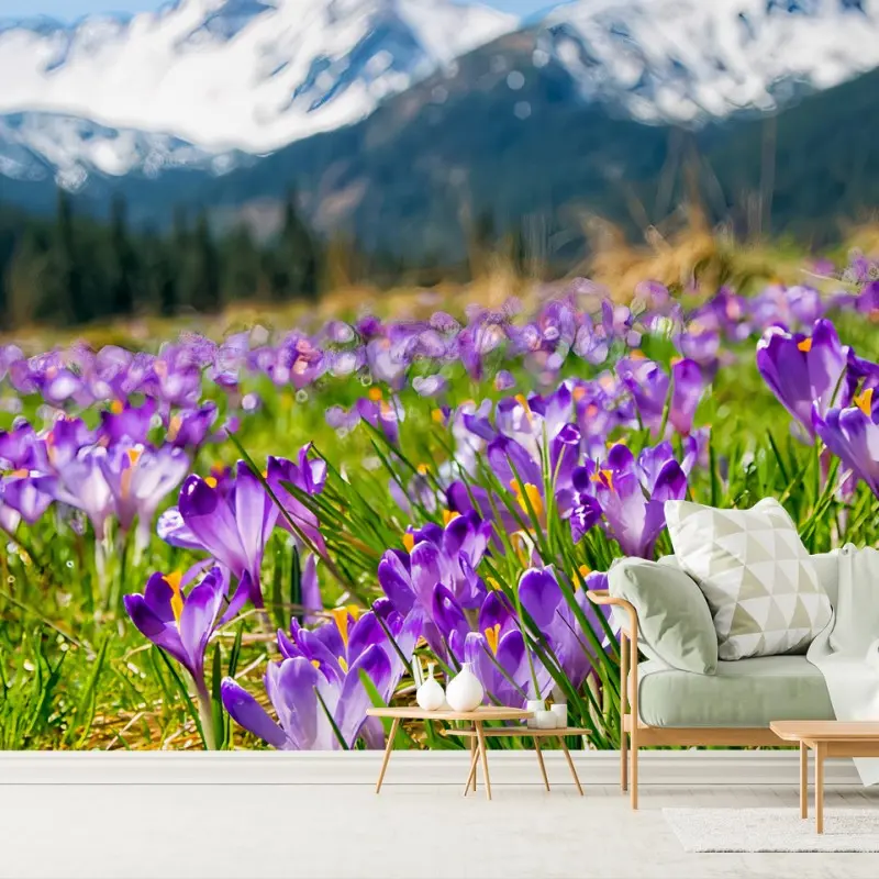 Carta da parati CROCUS VIOLA PRATO ALPINO PRIMAVERA PER SOGGIORNO